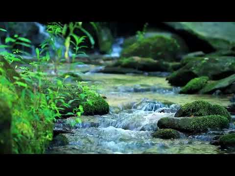 15 MINUTES of Flowing Water and Nature Sounds - Mindfulness Meditation Relaxing Soothing
