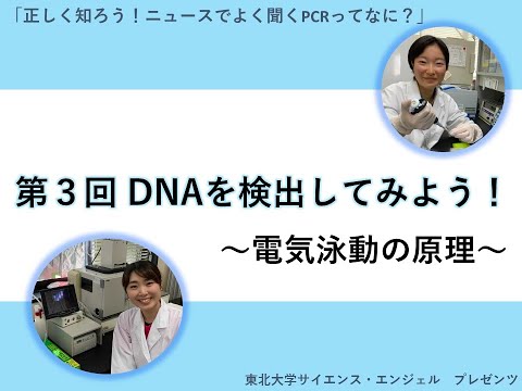 サイエンス・エンジェル科学イベント配信型「正しく知ろう！ニュースでよく聞くPCRってなに？」第3回