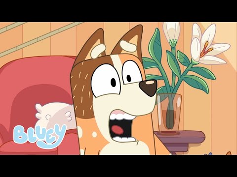 The 'Why?' Game 🤔 | Season 2 Highlight - Sticky Gecko | Bluey