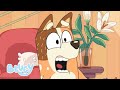 The Why Game Season 2 Highlight Sticky Gecko Bluey