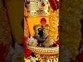 Navratristatus Kolhapur Mahalaxmi Status Agiri Nandni Shortsfeed Whatsappstatus