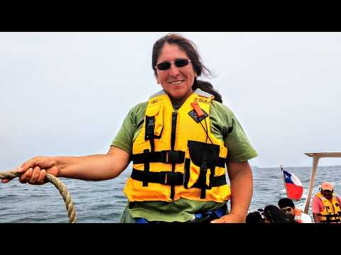 MARINELLA MALDONADO OSSANDON