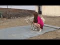 Woman Butcher Goat Farm Vlog