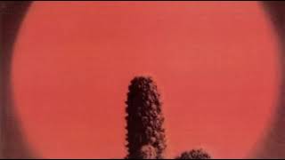 Oleo - Cactus | Cactus ( 1970 )