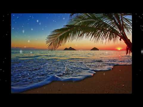 CIWA NA VULA REMIX- DJ ELO (TROPICAL VIBE)