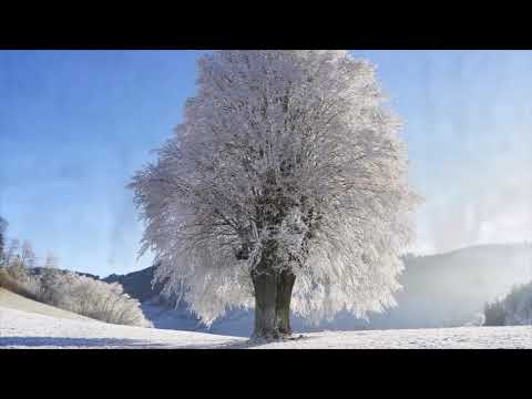 Goiztirian, Xabier Sarasola