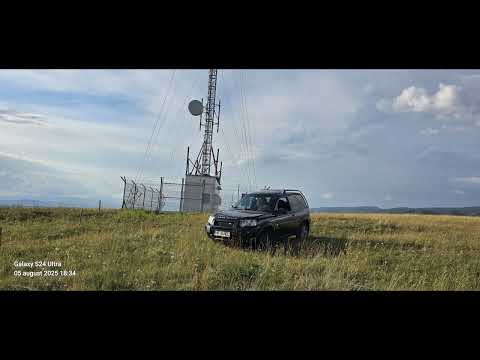 Nelutu Muresan - Strainatatea