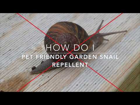 DIY snail & slug repellent (pet friendly)