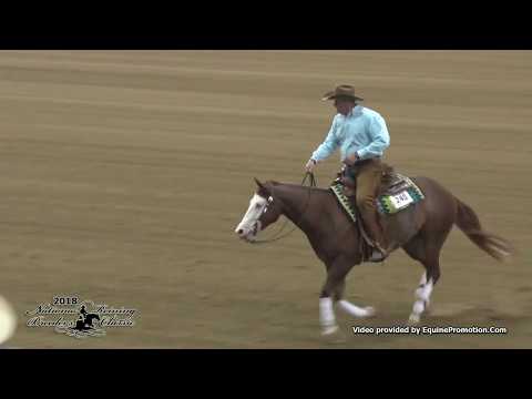 Lil Rene Gun ridden by Sam Schaffhauser  - 2018 NRBC (Open Prelims)