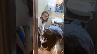 Download lagu Cewek Mabok mp3