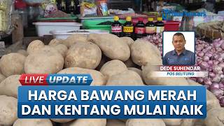 Harga Bawang Merah dan Kentang Mulai Naik di Belitung, Kenaikan BBM Jadi Salah Satu Alasan