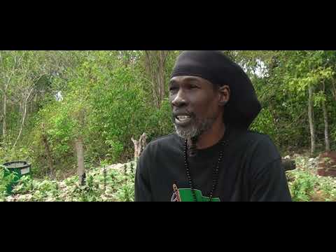 AKAE BEKA- VAUGHN BENJAMIN INTERVIEW. West End, Negril Jamaica. March 6th 2016