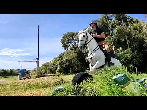 CAVALARIA PMPR/PISTA DE MANEABILIDADE