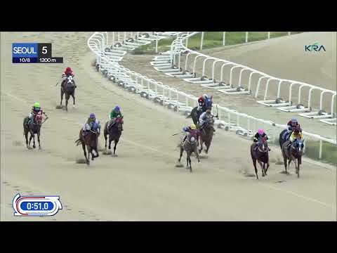 (Seoul) 2023.10.08 R5 Class 5 (1200M) Handicap