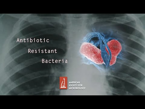 Antibiotic Resistant Bacteria