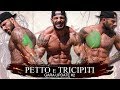 La MIA scheda PETTO E TRICIPITI di PIETRA ▪ Gara Update 2