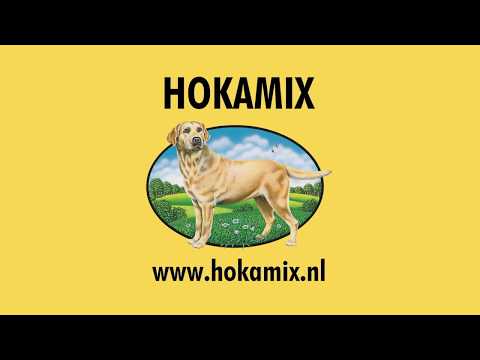 download lagu mp3 mp4 Hokamix, download lagu Hokamix gratis, unduh video klip Hokamix
