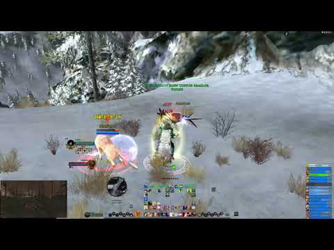 Lotro PvsMP   Runekeeper