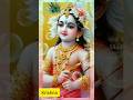 Leela Aprampar Teri Tu Makhan Chor Radhekrishna Short Status Video
