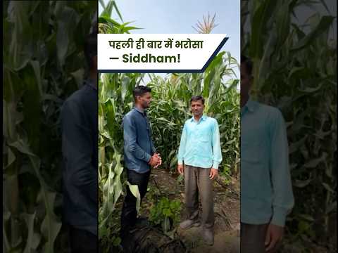 Sandeep Sahebrao Phuke - Siddham Maize