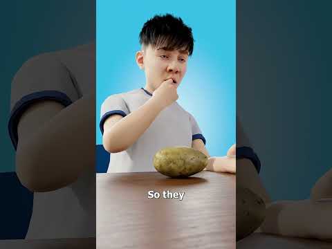 Как настоящая картошка превратилась в Mr  Potato