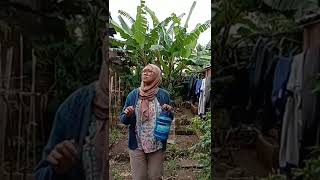 Download lagu yang berlubang (parodi noah-yang terdalam) sakit gigi-meggy-Z mp3