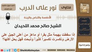 إذا سقطت بهيمة من أعلى الجبل إلى الأرض وتكسرت وذبحت فهل يحل أكلها؟ شيخ اللحيدان - مشروع كبار العلماء image