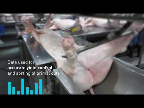 Frontmatec Pork Solutions | AutoFom |||™