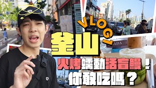 [閒聊] 韓國釜山是否發展得不錯適合旅遊生活？