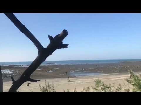 SaintMartin’s Island l Her Foremost Trip l Bangladesh l Travel l Beach l BBQ l Cruise Ship l Farazi