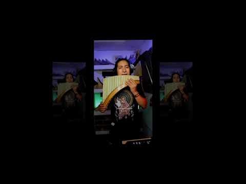 BETO SALAZAR- PORQUE TE VAS & SWEET CHILD O MINE