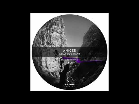 Anicee - What You Want (Original Mix)