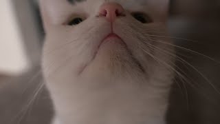 IMPORTANT ANNOUNCEMENT