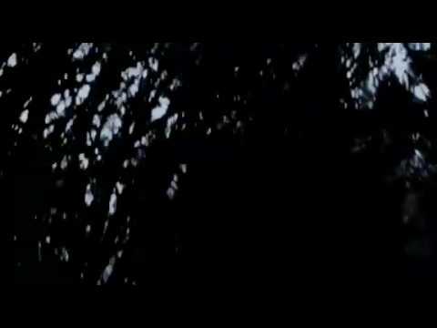 NecroNeutron "The Desecration Without a Name "