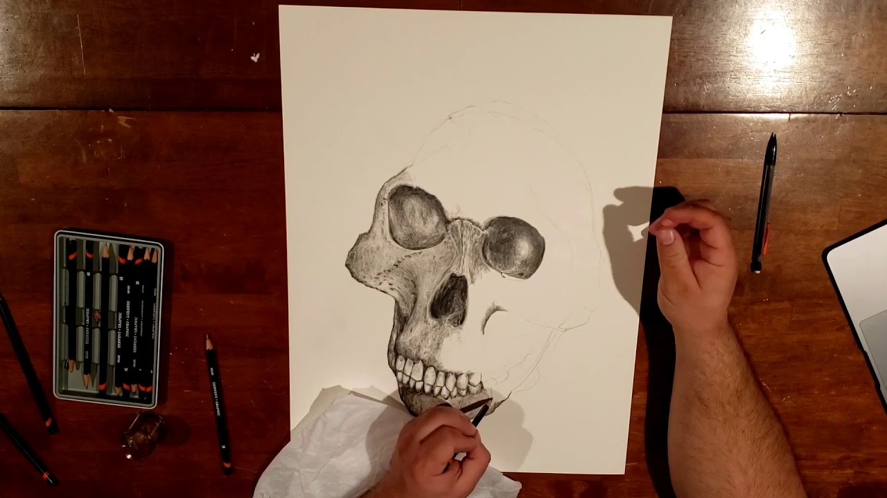 I Love Lucy, the first human drawn in timelapse #artvideo #drawingvideo #paleoart
