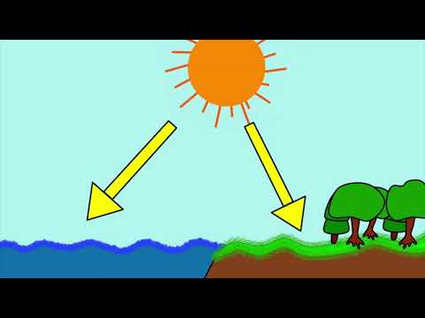 Das Land-See-Windsystem