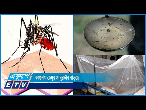 সচেতনতার অভাবে,পানি এবং ঘরের পাশে নোংরা জলাধারের কারণে এডিস মশা বাড়ছে | ETV News