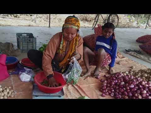 Nourishing Nepal: Food Security and Income Farming
