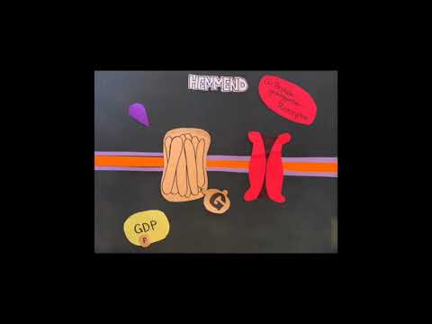 Neurotransmitter Erklärung