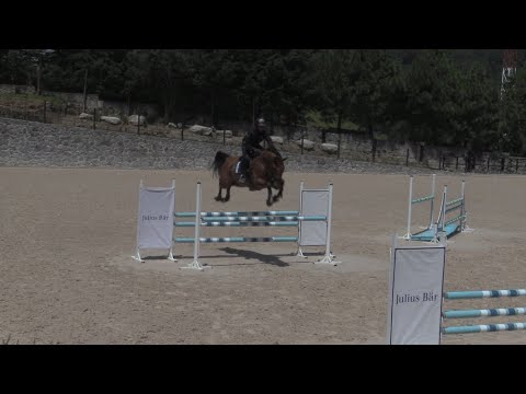 El jinete Nicolás Pizarro destaca la nobleza de los caballos de cara sus últimos Juegos Olímpicos