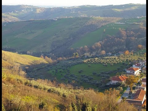 Small plot of land with olive trees - Cellino Attanasio, Abruzzo