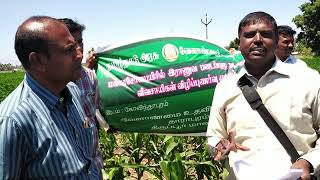 preview picture of video 'Fall Army Bollworm #Fallarmy #bollworm #maize #pest #control'