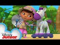 Zebra Crossing Doc McStuffins Ultimate Safari Disney Junior