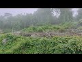 Pon Thaarame Helen Whatsapp Status