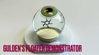 Siepser Vitreous Floater Demonstrator - #15153