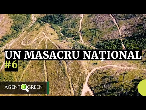 Natura 2000 — Realitatea din teren