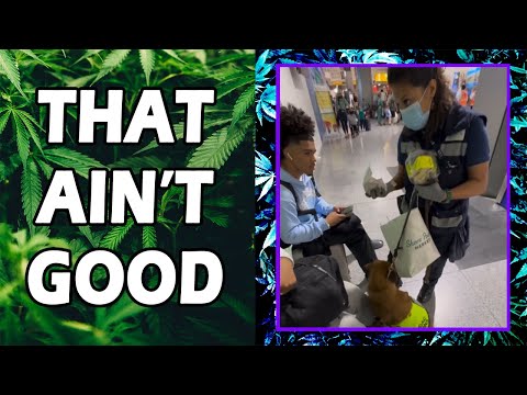 WEED MEMES & Fail Compilation [#230] - Fatally Stoned