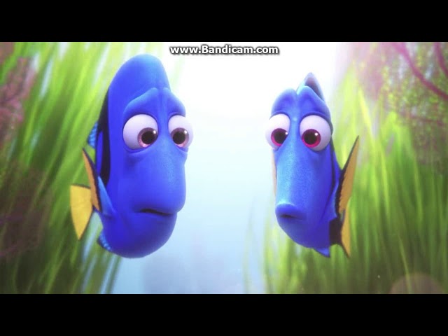 Vídeo relacionado con Disney Pixar Finding Dory Transparent Nemo Big Face Wave Camiseta
