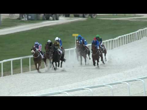 2017.04.09. 4. futam - GYÖNGYVIRÁG HENDIKEP (III.o.) (szintetikus pálya)