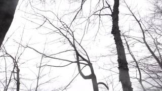 Bill Nelson (Bamboozled) UNOFFICIAL!